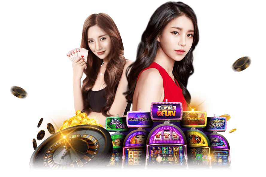 tgashark เว็บเดิมพันออนไลน์ครบวงจรแห่งยุคใหม่ที่ครองใจนักเดิมพันทั่วเอเชีย